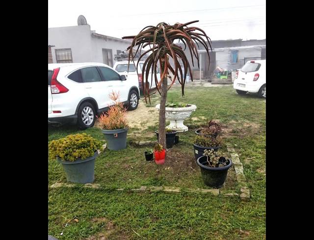 2 BEDROOM HOUSE FOR SALE IN PEERLESS PARK